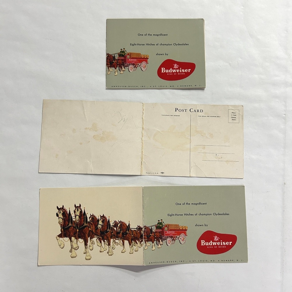 3 Budweiser VTG Clydesdale Fold Postcards 8-Horse Hitch Green Americana Art